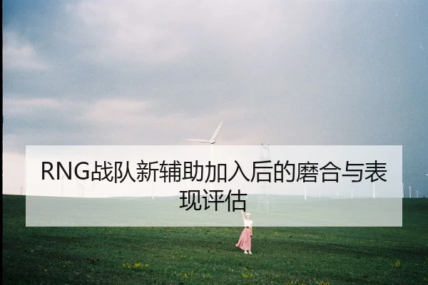 RNG战队新辅助加入后的磨合与表现评估