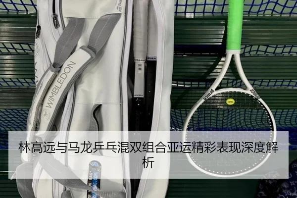 林高远与马龙乒乓混双组合亚运精彩表现深度解析